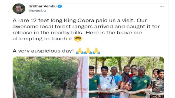 कुछ यूजर्स सांप के आकार को देखकर दंग रह गए