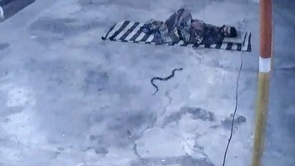 सांप उसकी जांघ पर लिपटा रहा