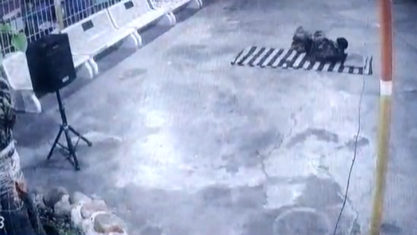  फिर कोबरा सांप दूसरी ओर भाग गया