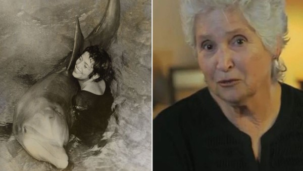 शरारती डॉल्फिन से बनाए संबंध