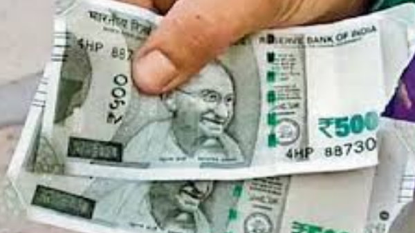 नोटों से भरा बैग लेकर भाग गए बंदर