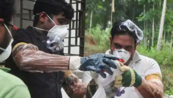 निपाह वायरस: 38 लोग अस्पताल में आइसोलेट निपाह वायरस: 38 लोग अस्पताल में आइसोलेट