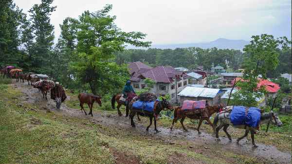 क्या है वन अधिकार कानून, 2006 ?