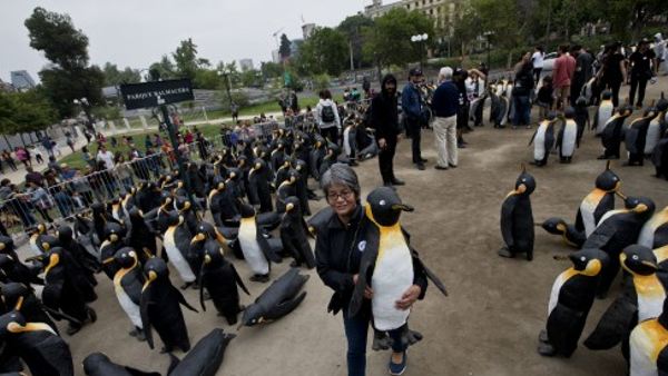 इस दीप पर होगा अध्ययन