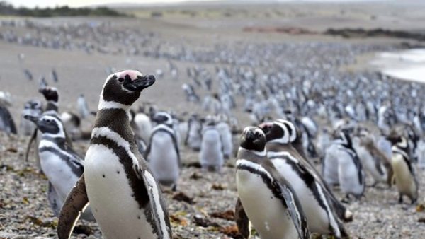 इन बातों का शक