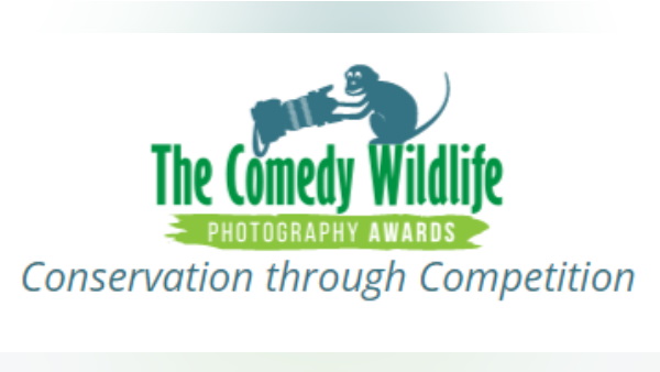 इन्होंने की थी कॉमेडी वाइल्डलाइफ की शुरुआत