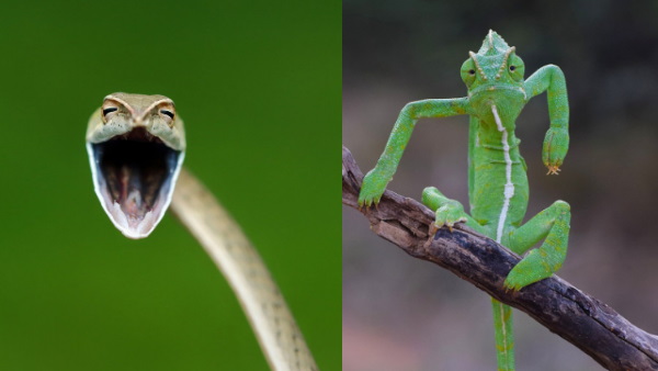 7,000 में से चुनी गई सिर्फ 42 तस्वीरें