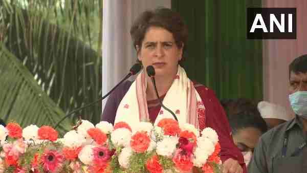 अमेठी-रायबरेली की दस विधानसभा में 6 सीटें बीजेपी के पास 