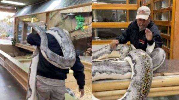 पहले हाथ पर किया हमला पहले हाथ पर किया हमला