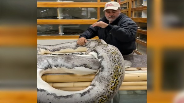 मुंह को बनाया निशाना मुंह को बनाया निशाना