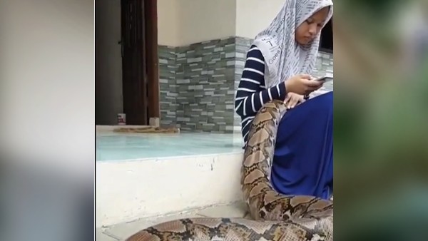 कहां का है वीडियो?