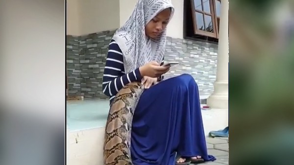 शिकार को जकड़कर मारता है अजगर