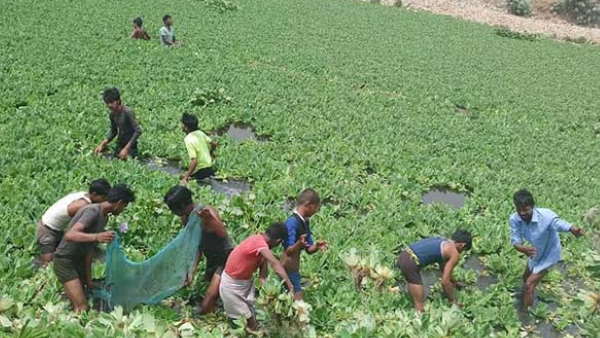 तालाबों को साफ करने का बीड़ा उठाया तालाबों को साफ करने का बीड़ा उठाया