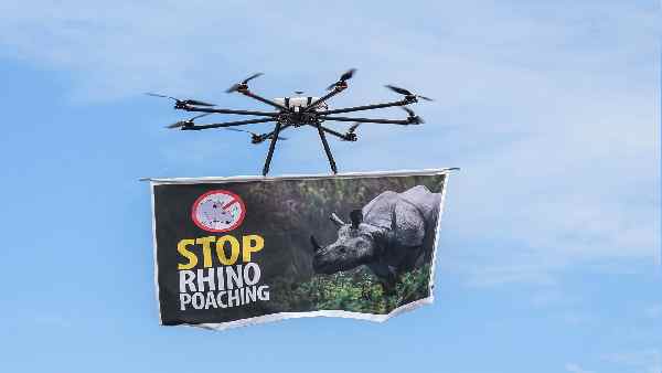 कितना गंभीर है गैंडों के शिकार का खतरा ?