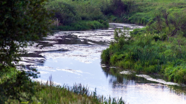 243 किलोमीटर लंबी है टेका नदी 243 किलोमीटर लंबी है टेका नदी