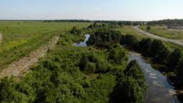 नदी में डाला गया था दूषित पानी नदी में डाला गया था दूषित पानी