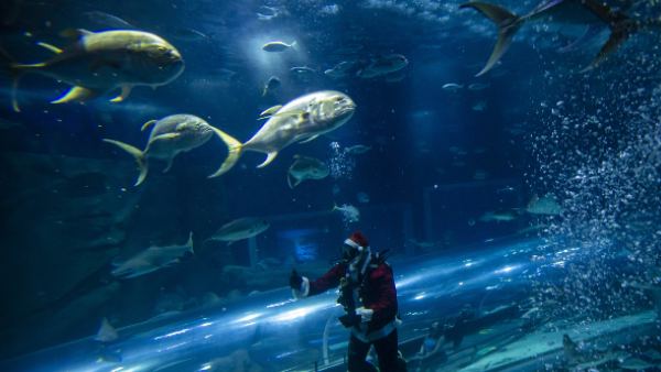 10 साल से टैंक में बंद