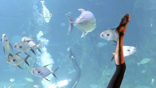 15 प्रजातियां सक्षम