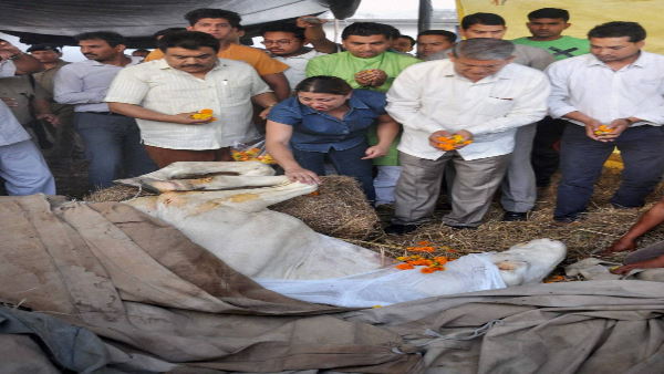   जमकर हुई राजनीति 