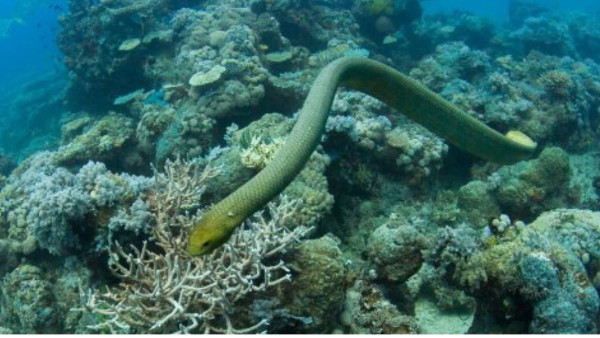 नर काफी उत्साहित होते हैं और सक्रियता से 'गर्लफ्रेंड' ढूंढते हैं: स्टडी