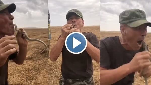 खेत में निकला था सांप खेत में निकला था सांप