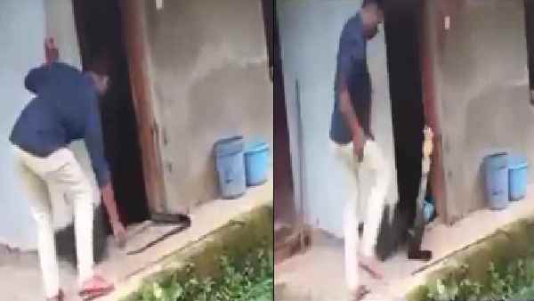 जब एक किंग कोबरा से सांप विशेषज्ञ खा गया धोखा