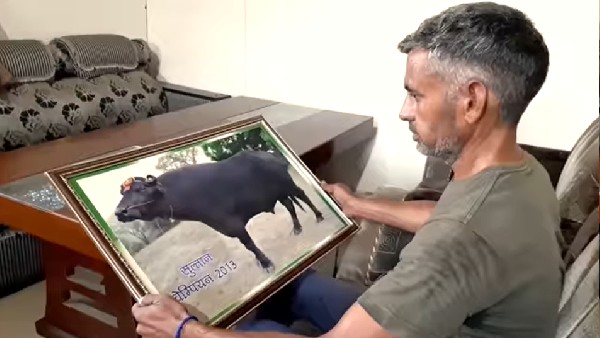 सुल्‍तान के सीमन की भारी डिमांड थी