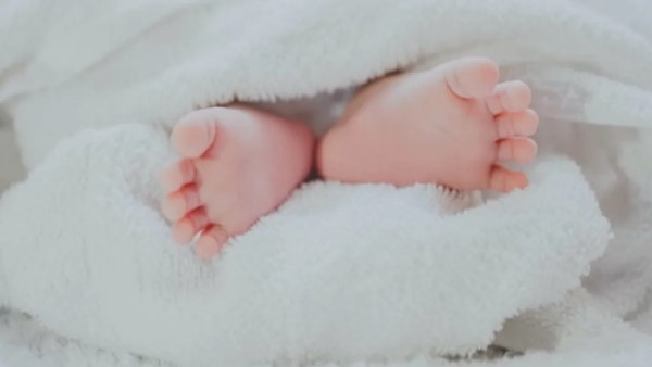 स्टेफनी ने बच्ची को दिया जन्म स्टेफनी ने बच्ची को दिया जन्म