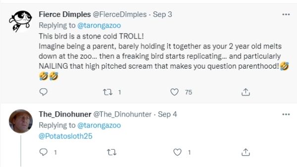 लॉकडाउन के दौरान नकल