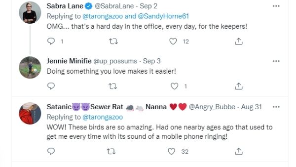 दो और आवाज निकालता है पक्षी