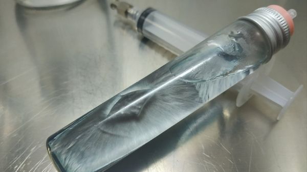 आदतन अपराधी है थॉमस ब्रायन