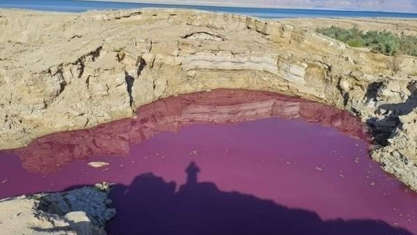 अचानक लाल क्यों हो गया पानी?