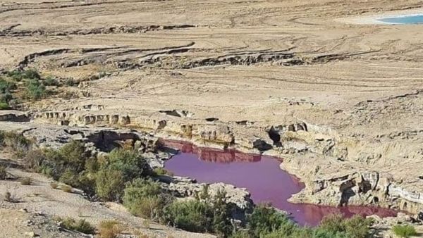 मृत सागर को जानिए