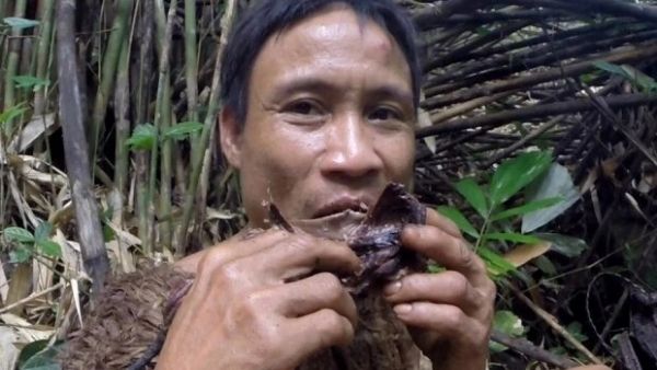 चूहे खाना था काफी पसंद