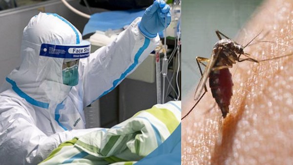 5. डिजीज X 5. डिजीज X