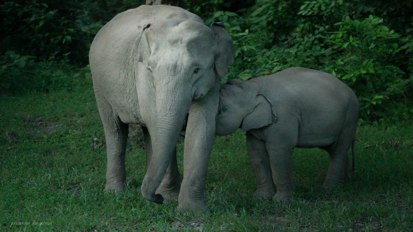फोटो को मिल रहे जबरदस्त लाइक्स