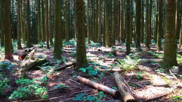 हाईकोर्ट के निर्देश के बाद ही होगा अब खनन का कोई भी काम हाईकोर्ट के निर्देश के बाद ही होगा अब खनन का कोई भी काम