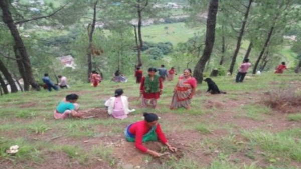हाईकोर्ट ने खनन पर लगाया स्टे हाईकोर्ट ने खनन पर लगाया स्टे