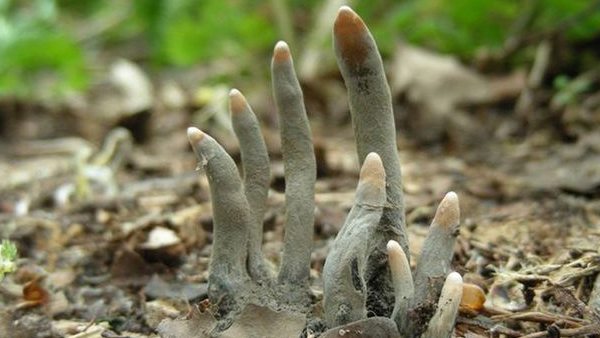 लोगों ने दिया ये रिएक्शन