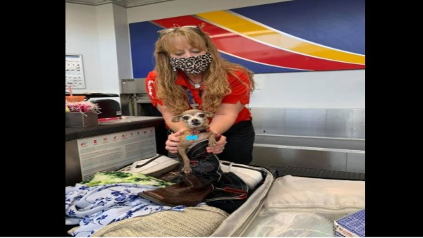 बहुत डर गई थीं क्रिस्टी