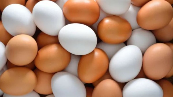 टोपी पर अंडे चिपकाने के दौरान कितने अंडे तोड़े