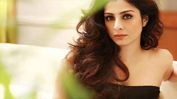 तब्बू को मिस्टर परफेक्ट का इंतजार