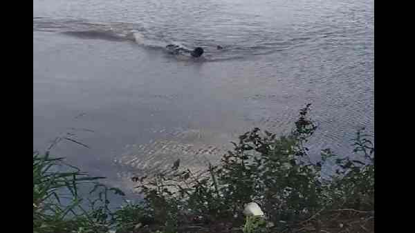 झील में तैरने की पाबंदी लगी है झील में तैरने की पाबंदी लगी है