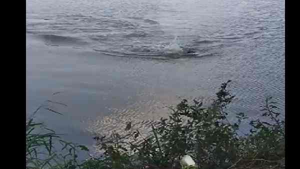 खून से लथपथ हाथ लेकर पानी से बाहल निकला शख्स खून से लथपथ हाथ लेकर पानी से बाहल निकला शख्स