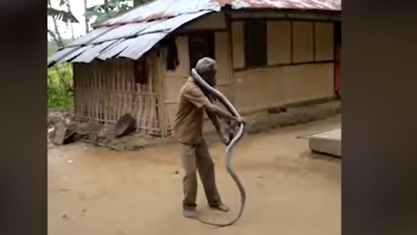 सांप का क्या हुआ?