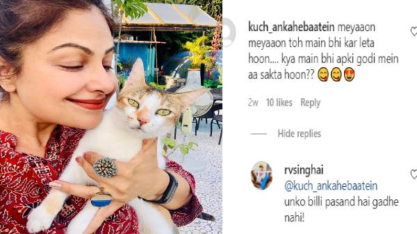 'म्याऊ म्याऊ तो ​​मैं भी कर लेता हूं'