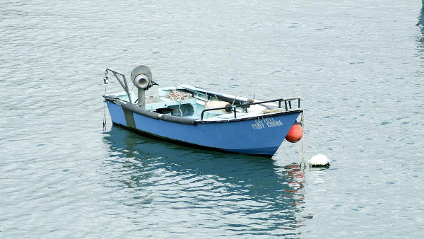 ऐसे बची जान ऐसे बची जान