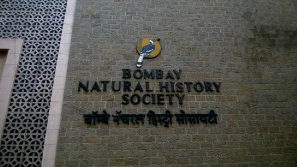 पैंथर का रंग आनुवांशिक गुणसूत्र के कारण बदला