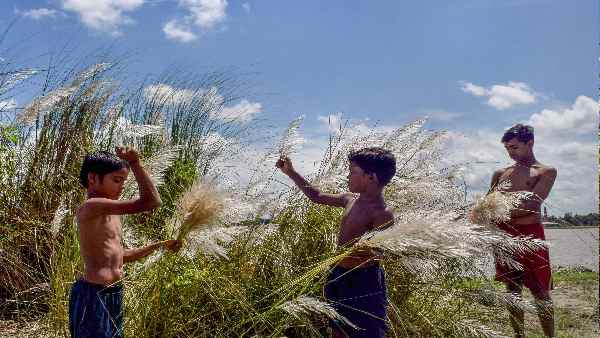 जल्दबाजी नहीं चाहते कुछ एक्सपर्ट