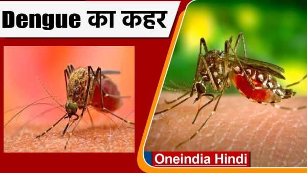 डेंगू से युवक की मौत 